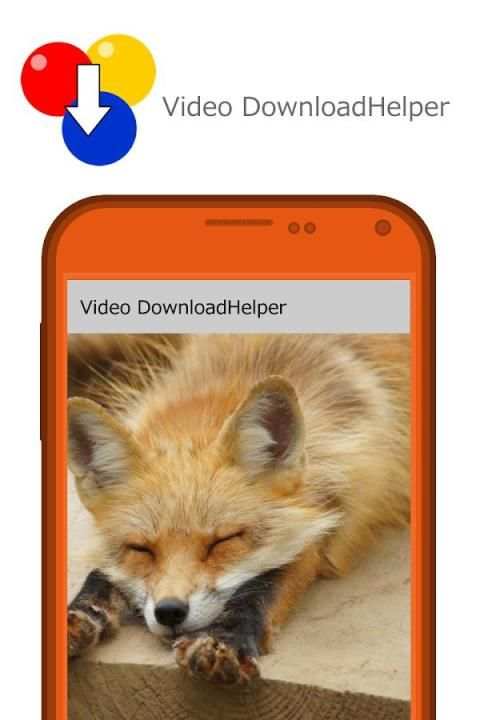 Скачать Video DownloadHelper скриншот 1