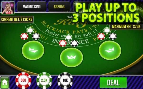 Blackjack King screenshot 3