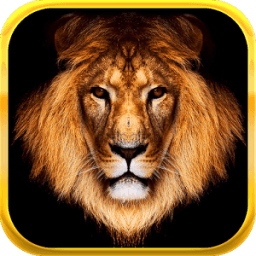 King Slots иконка