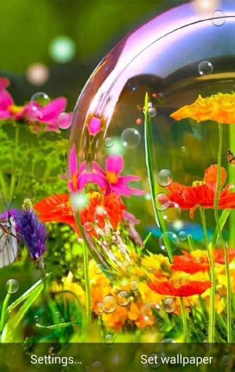 Spring Live Wallpaper screenshot 6