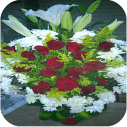 صور ورد متنوعة иконка