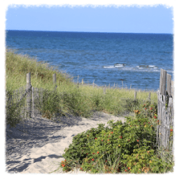 Cape Cod أيقونة