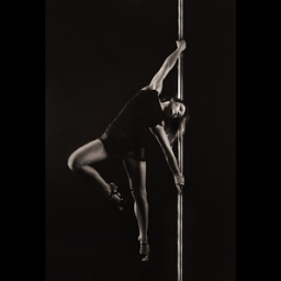 Stripper Diary आइकन