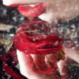 Red Rose Lip Live Wallpaper иконка
