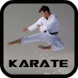 Karate icon