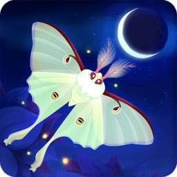 Flutter: Starlight