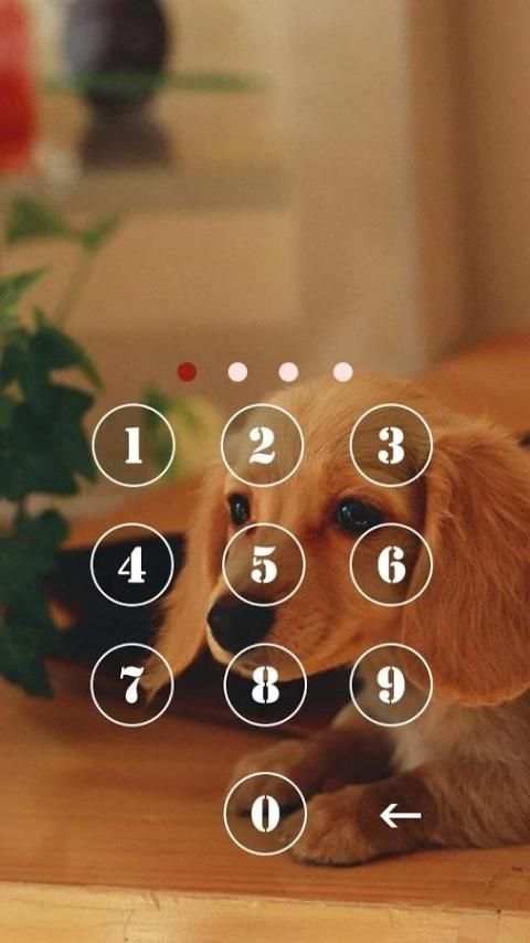 Privacy Guard screenshot 3