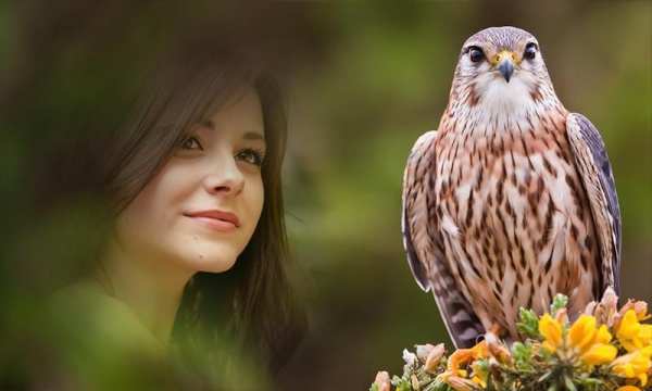 Birds Photo Frames скриншот 3