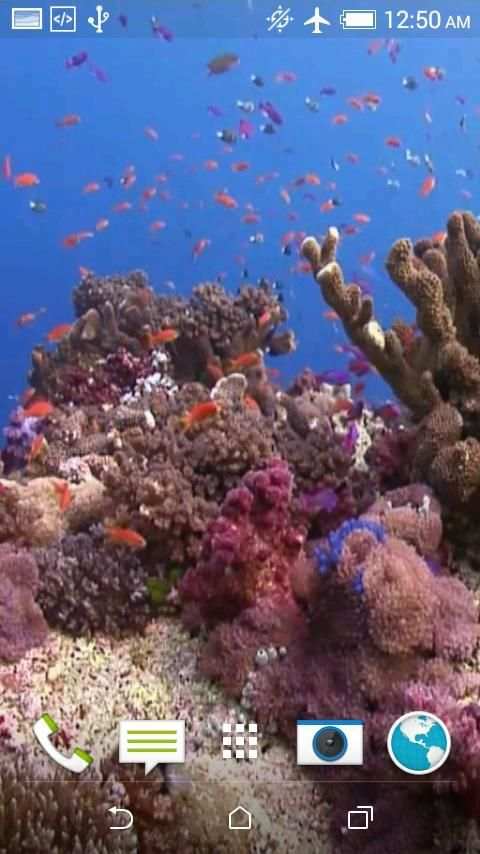 Fish 4K Video Wallpaper स्क्रीनशॉट 3