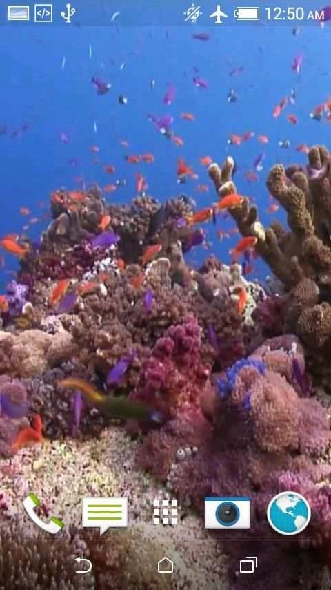 Fish 4K Video Wallpaper screenshot 1