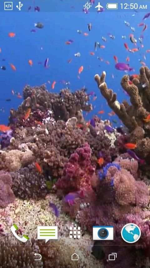 Fish 4K Video Wallpaper स्क्रीनशॉट 4