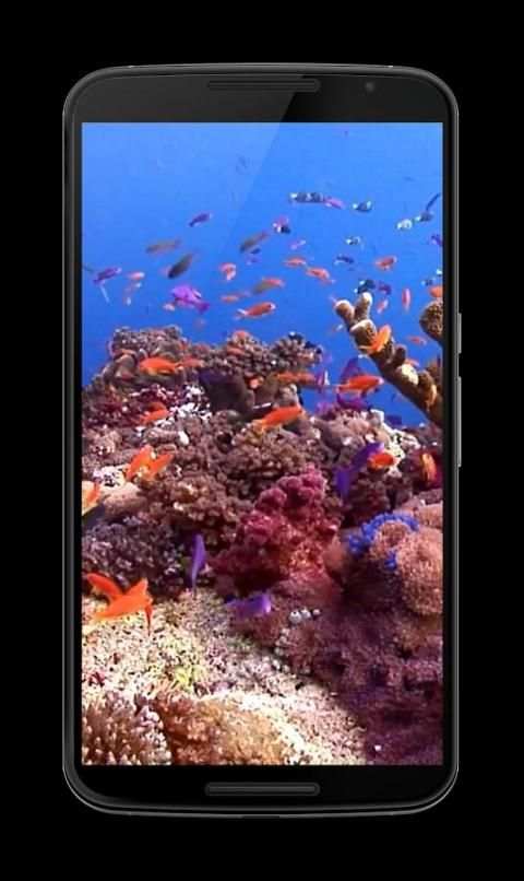 Fish 4K Video Wallpaper स्क्रीनशॉट 6