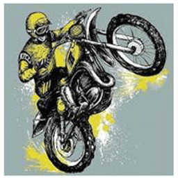 ikon Motorcross Funny