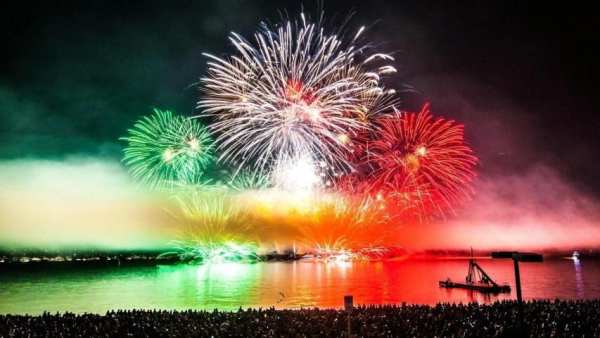 Firework Wallpapers screenshot 1