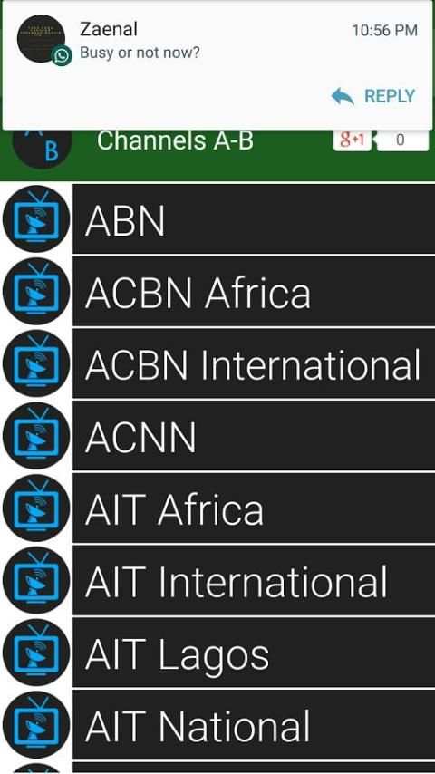 TV Channels Nigeria скриншот 2