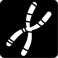 Split-a-Cell: The Division