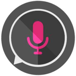 All Call Recorder 1.1