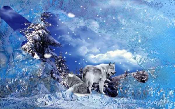 Wolves n Snow 3D LWP स्क्रीनशॉट 3