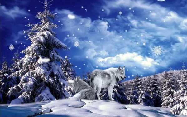 Wolves n Snow 3D LWP स्क्रीनशॉट 1