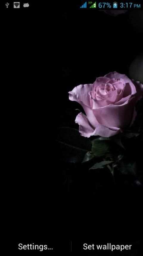 994 Flowers Live Wallpapers screenshot 7