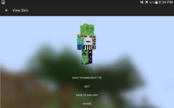 Skins for Minecraft Editor screenshot 1