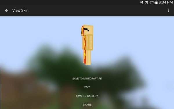 Skins for Minecraft Editor screenshot 2