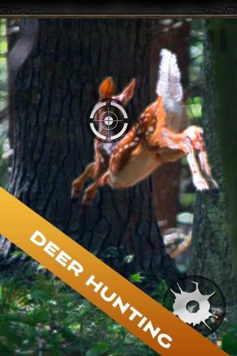 Deer Hunter : Hunting Deer screenshot 4