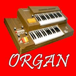 Electronic organ piano