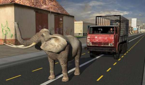 Elephant Racing Simulator 2016 स्क्रीनशॉट 6
