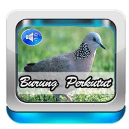 Burung Perkutut 1.0