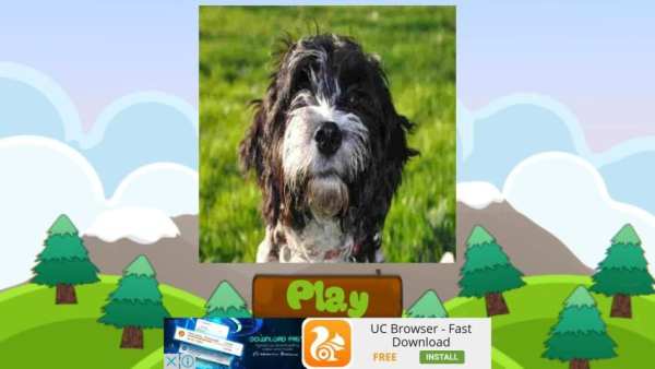 Dog Names: Dog Breeds Games screenshot 13