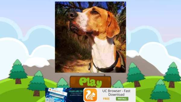Dog Names: Dog Breeds Games screenshot 14