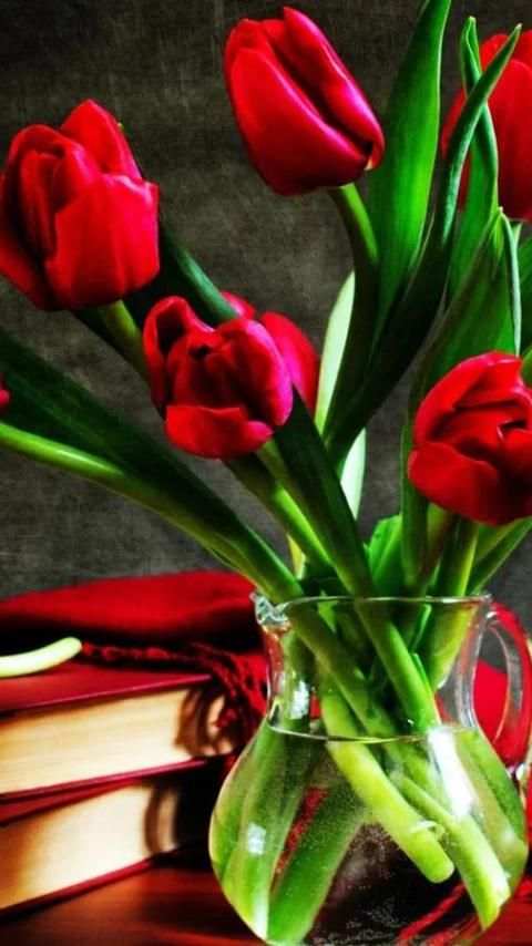 Tulip.Flowers wallpaper screenshot 6