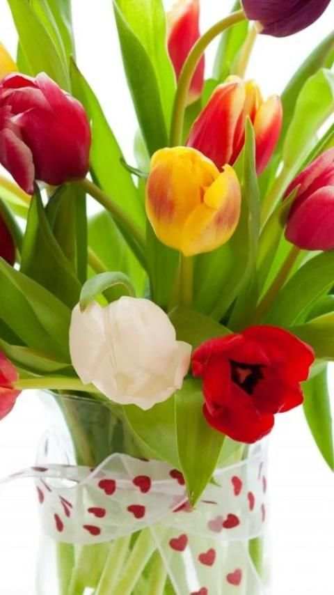 Tulip.Flowers wallpaper screenshot 4