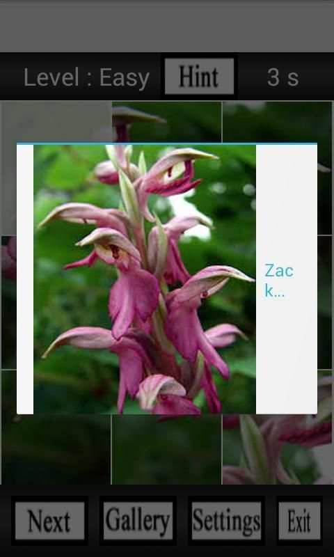 Puzzle My screenshot 5