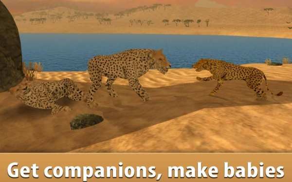 Wild Cheetah Simulator 3D 1 تصوير الشاشة