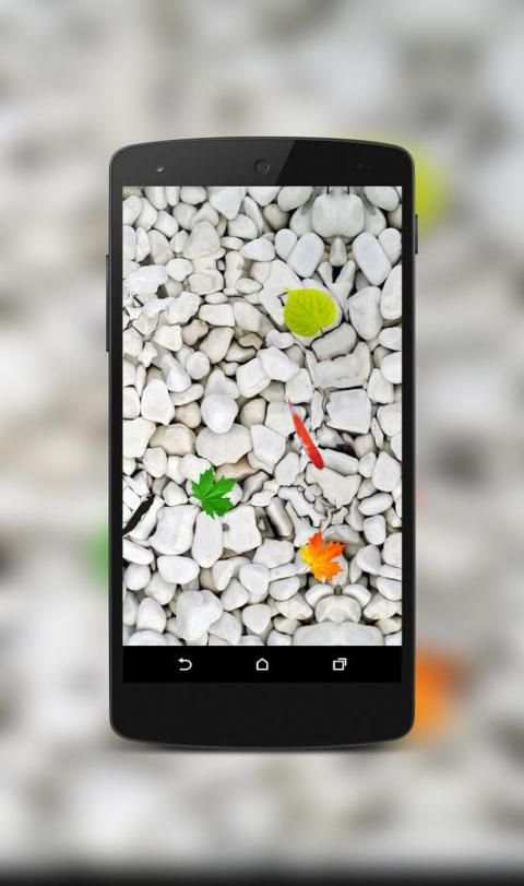 Koi Fish Live Wallpaper स्क्रीनशॉट 3