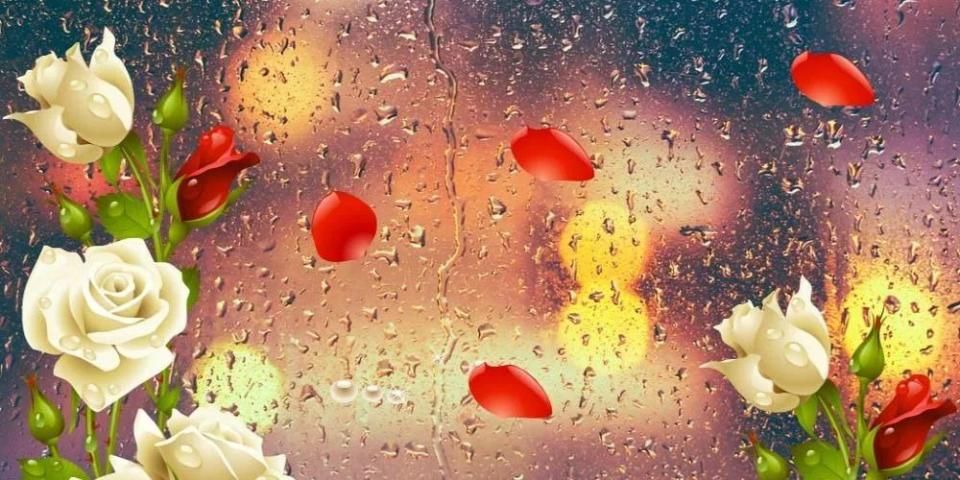 Роза Любовь Иконка Theme скриншот 1