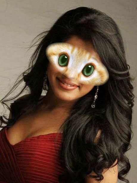 Animal Eye Mask скриншот 2