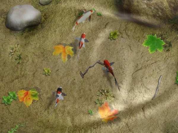 Wallpaper Hidup Koi Pond screenshot 3