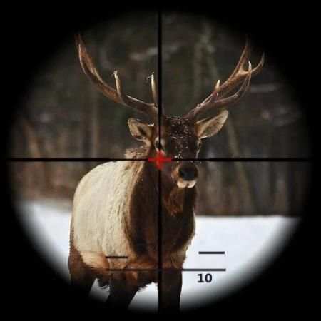 Deer Wild Hunter 2016 1 تصوير الشاشة