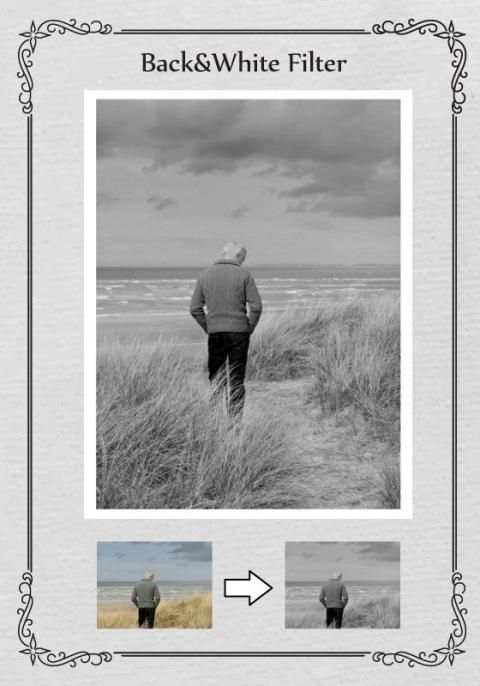 Black and White Camera скриншот 3