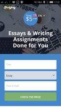 Essay Writing скриншот 2