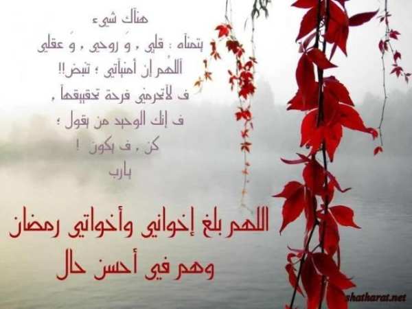 صور تهانى شهر رمضان الكريم screenshot 1