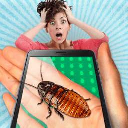 Cockroach on hand simulator