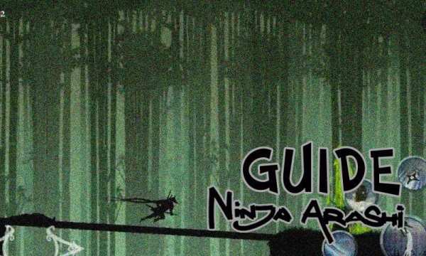 Guide for Ninja Arashi screenshot 2