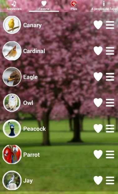 Birds Sound Ringtones screenshot 4