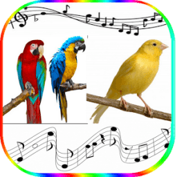 Birds Sound Ringtones icon