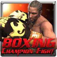 Boxing Champion Fight