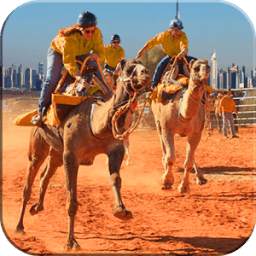 king of rajasthan camel race 1.0